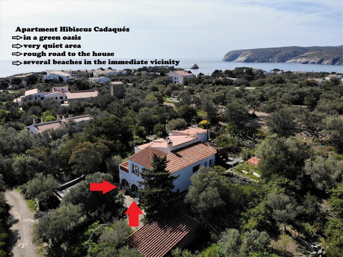 Apartment Hibiscus Cadaques Cadaqués Exterior foto